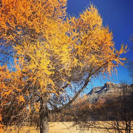 Chesa Suot Ovas Apartment