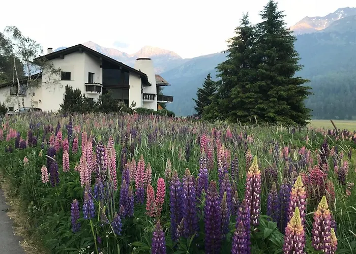 Daire Chesa Suot Ovas *