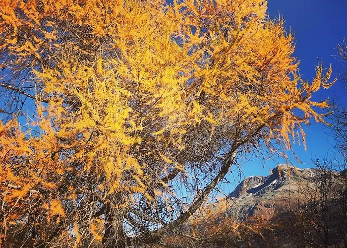 Chesa Suot Ovas Apartment